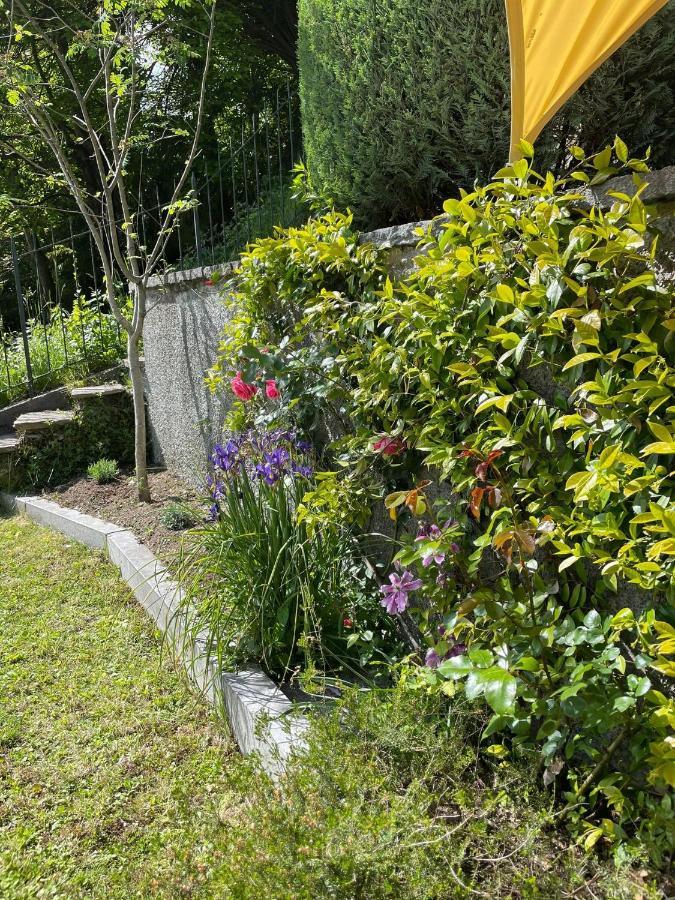 B&B Gli Ulivi Carlazzo Eksteriør bilde